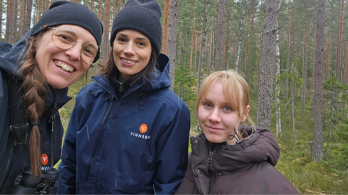 Miljökonsekvensbeskrivning för Ilmatars vindkraftsprojekt i Sverige