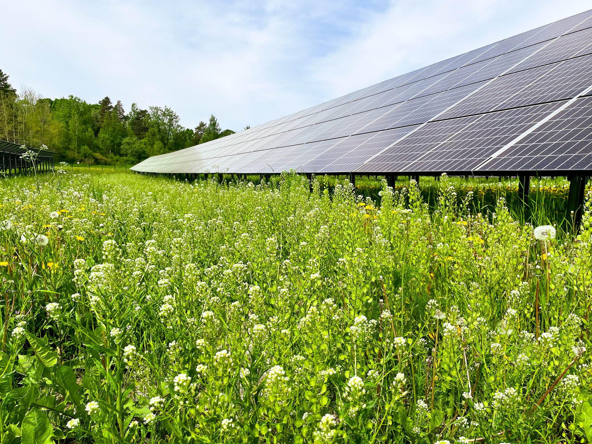 Bord_Solpark solkraft energilager<br />