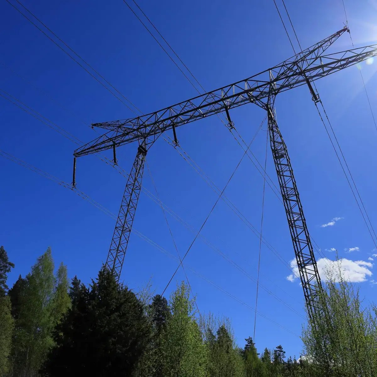 Elnät och kraftledningar i det svenska energisystemet