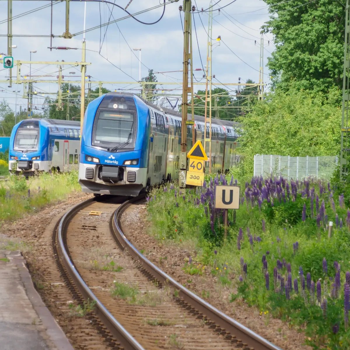 Spårbunden trafik och järnvägsinfrastruktur