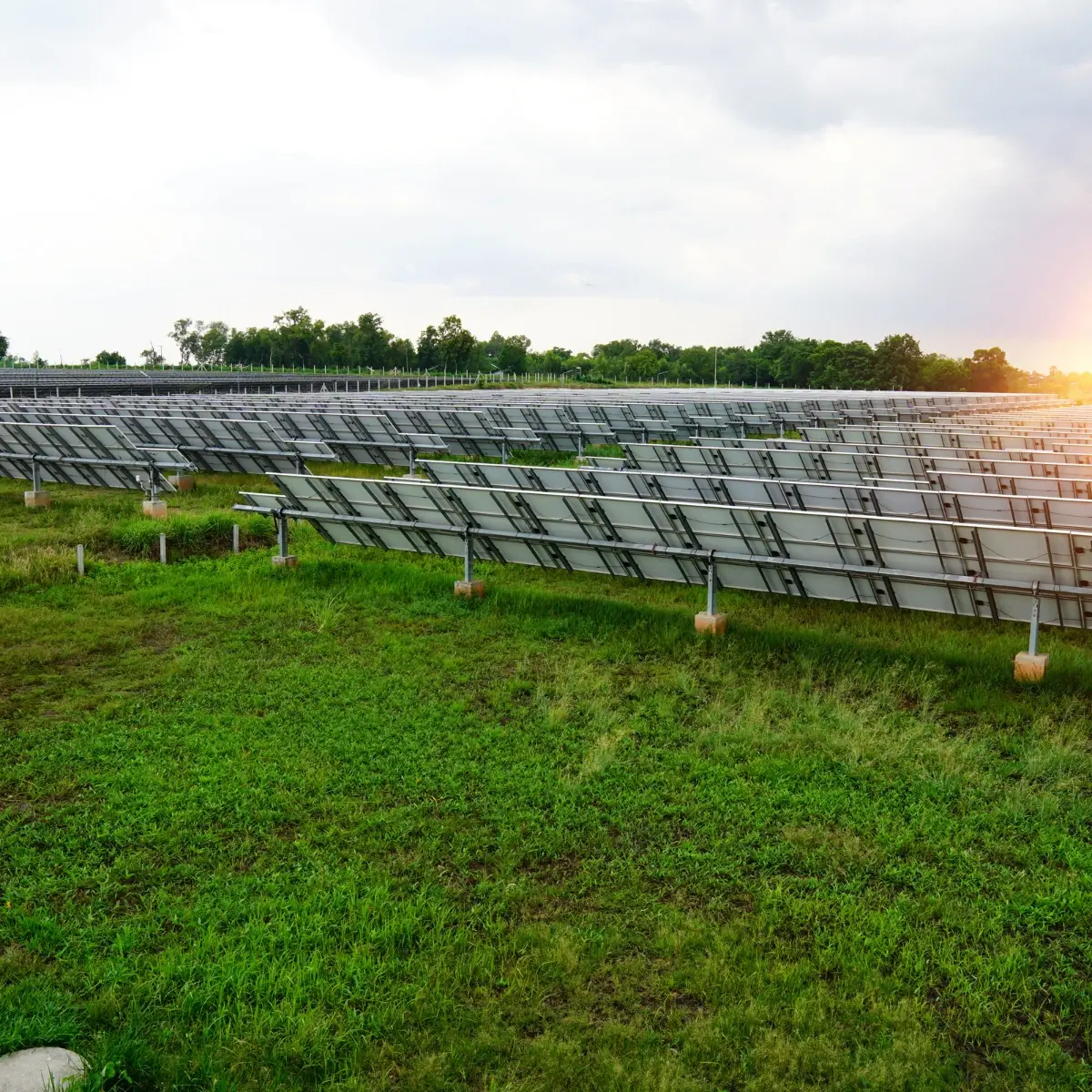 Vinnergi som utvecklare av energiproduktion